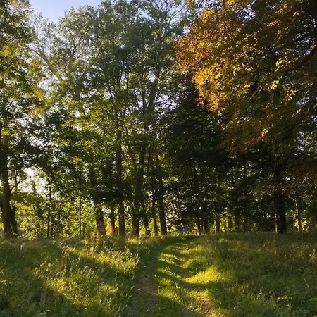 Vakantiehuis La Maison Du Cavalier, Chateau De Lavenue