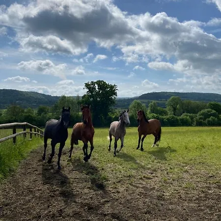 La Maison Du Cavalier, Chateau De Lavenue *