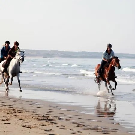 La Maison Du Cavalier, Chateau De Lavenue *