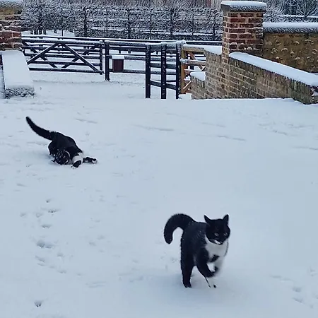 La Maison Du Cavalier, Chateau De Lavenue Prázdninový dům