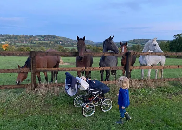 La Maison Du Cavalier, Chateau De Lavenue Holiday home Pierrefitte-en-Auge