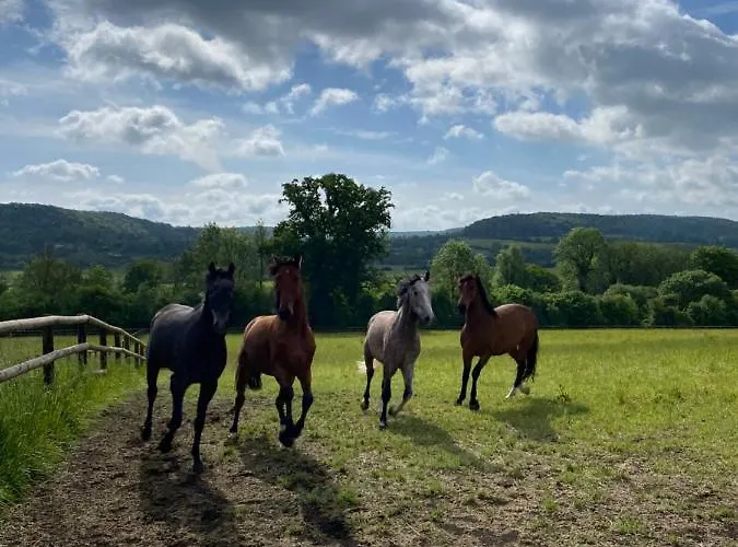 La Maison Du Cavalier, Chateau De Lavenue *