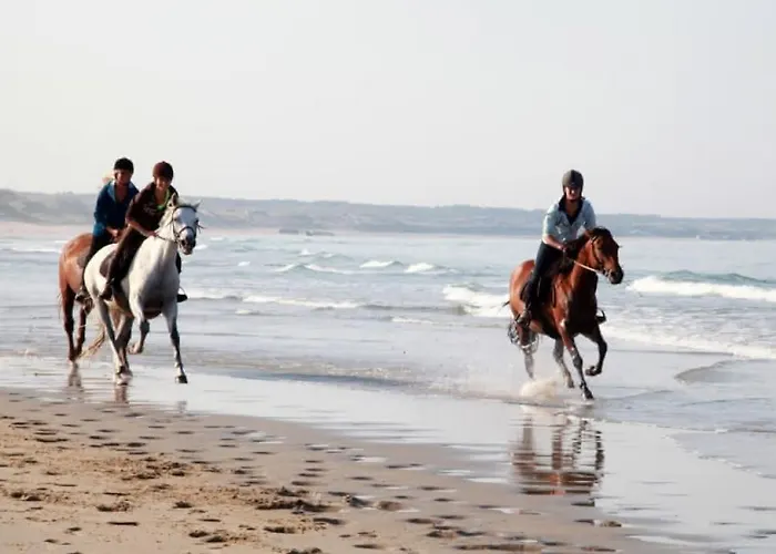 La Maison Du Cavalier, Chateau De Lavenue *