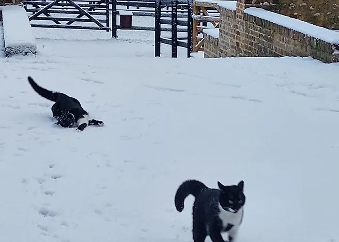La Maison Du Cavalier, Chateau De Lavenue Holiday home